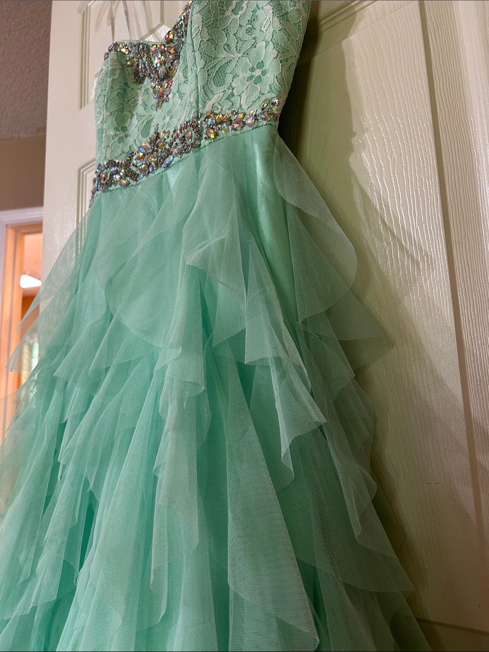Masquerade Rhinestone & Ruffle Gown - Picture 12 of 12